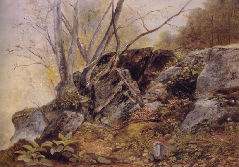 Asher Brown Durand Study from Nature,Bronxville Germany oil painting art